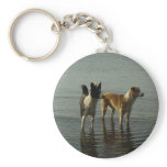 Border Collie - Tipper/Dixie at Sea Keychain