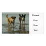 Border Collie - Tipper/Dixie in Water Customized Photo Card