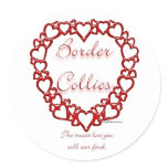 Border Collie True Love - Sticker