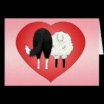 Border Collie Valentine's Day cards