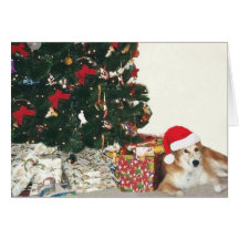Border Collie Wearing a Santa Hat Greeting Cards