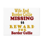 Border Collie & Wife Missing Reward For Border Col