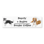 Border Collies Bumper Sticker bumper stickers