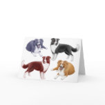 Border Collies Greeting Card