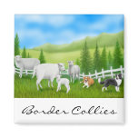 Border Collies Magnet