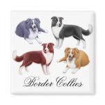 Border Collies Magnet