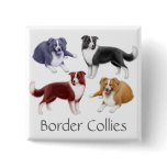 Border Collies Pin buttons