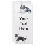 Border Collies Rack Card