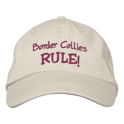 Border Collies Rule Embroidered Baseball Cap by SmilinEyesTreasures