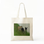 Border Collies - Tipper/Dixie ashore Canvas Bag