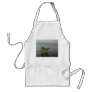Border Collies - Tipper/Dixie at Sea Apron