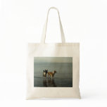 Border Collies - Tipper/Dixie at Sea Canvas Bags