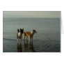 Border Collies - Tipper/Dixie at Sea Card