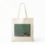 Border Collies - Walking Canvas Bags