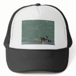 Border Collies - Walking Mesh Hats