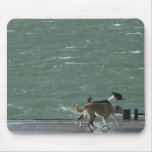 Border Collies - Walking Mouse Pad