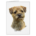 Border Terrier 9A21D-19 Greeting Cards