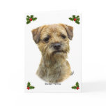Border Terrier 9A21D-19