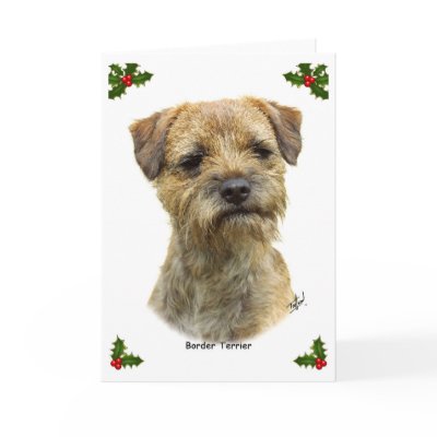 Border Terrier 9A21D-19 Card by mtrafford