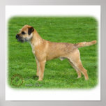 Border Terrier 9T067D-045 Print