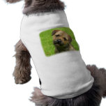 Border Terrier 9W009D-127 Doggie Tee Shirt