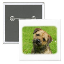 Border Terrier 9W009D-127 Pinback Buttons
