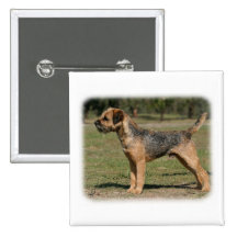 Border Terrier 9Y325D-033 Pinback Buttons