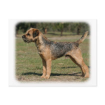 Border Terrier 9Y325D-033 Post Cards
