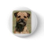 Border Terrier 9Y325D-038 Button