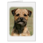 Border Terrier 9Y325D-038 Cards