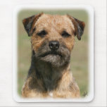 Border Terrier 9Y325D-038 Mousepad