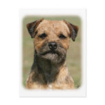 Border Terrier 9Y325D-038 Post Cards