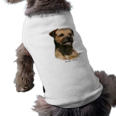 Border Terrier 9Y325D-046-2 Pet Clothes by TraffordPhotos