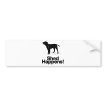 Border Terrier Bumper Stickers