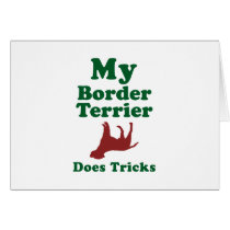 Border Terrier