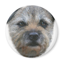 Border Terrier dog Magnets
