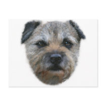 Border Terrier dog Postcard