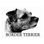 Border Terrier Drawing Postcard