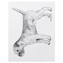 Border Terrier Custom Flyer