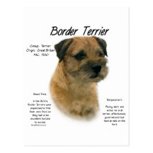 Border Terrier History Design Postcard