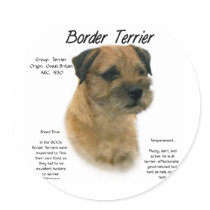 Border Terrier History Design