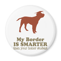 Border Terrier