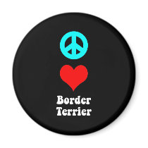 Border Terrier