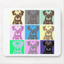 Border Terrier