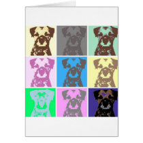 Border Terrier , part II