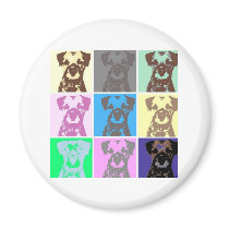 Border Terrier, part II