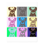 Border Terrier, part II Post Card