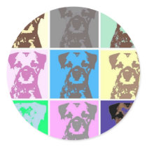 Border Terrier, part II