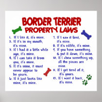 BORDER TERRIER PL2