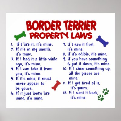 BORDER TERRIER PL2 by poochloverstuff